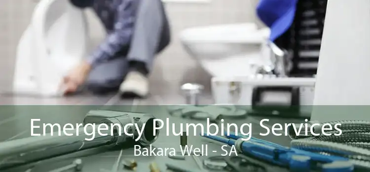 Emergency Plumbing Services Bakara Well - SA