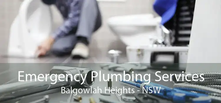 Emergency Plumbing Services Balgowlah Heights - NSW