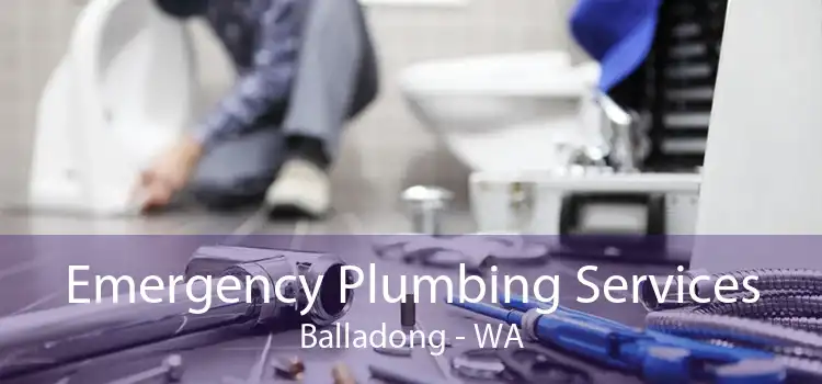 Emergency Plumbing Services Balladong - WA