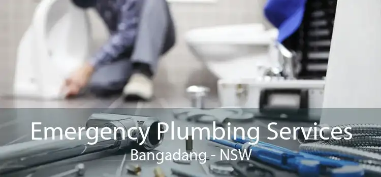 Emergency Plumbing Services Bangadang - NSW