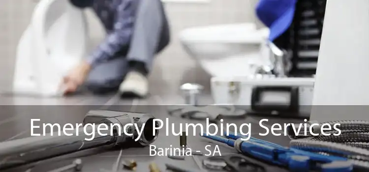 Emergency Plumbing Services Barinia - SA