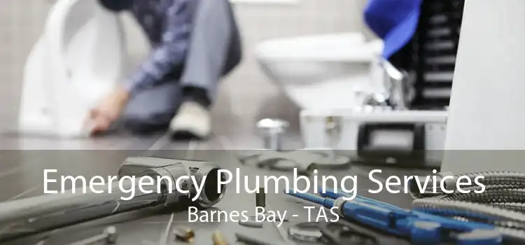 Emergency Plumbing Services Barnes Bay - TAS