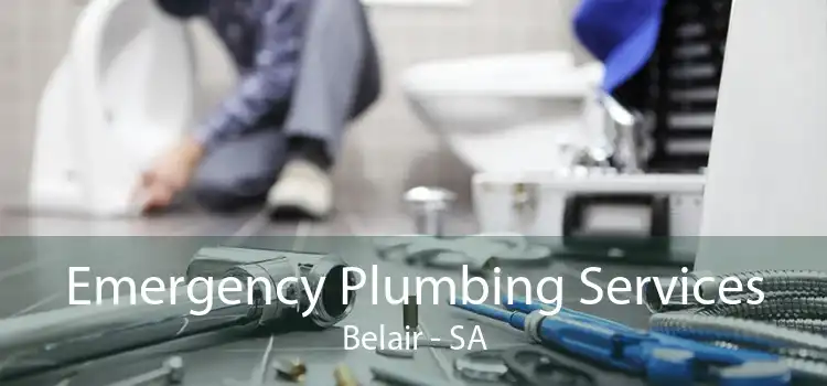 Emergency Plumbing Services Belair - SA