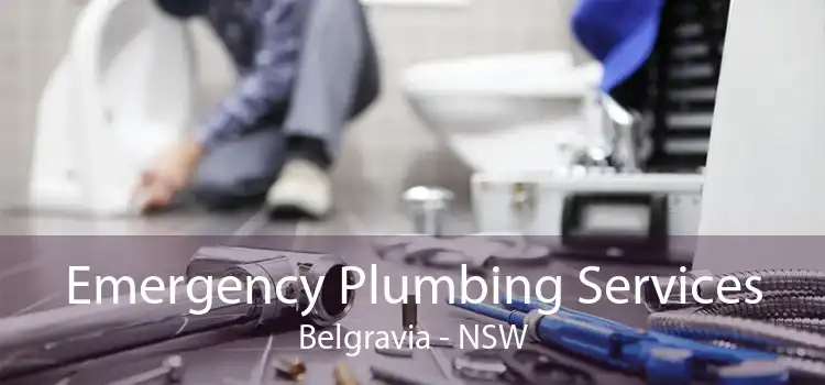 Emergency Plumbing Services Belgravia - NSW