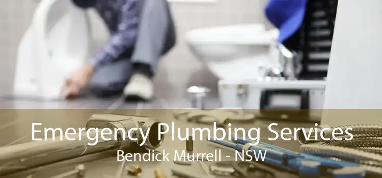 Emergency Plumbing Services Bendick Murrell - NSW