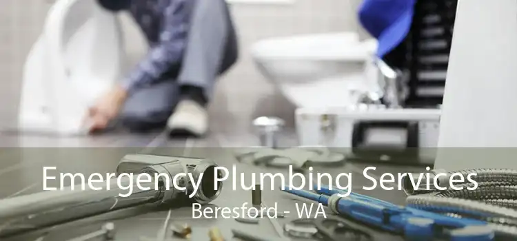 Emergency Plumbing Services Beresford - WA