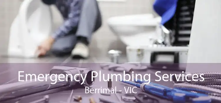 Emergency Plumbing Services Berrimal - VIC