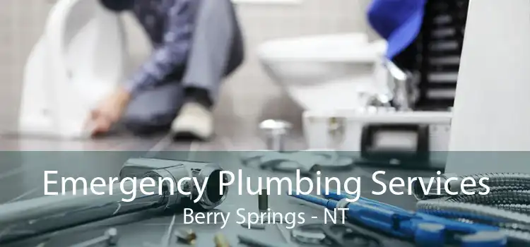 Emergency Plumbing Services Berry Springs - NT