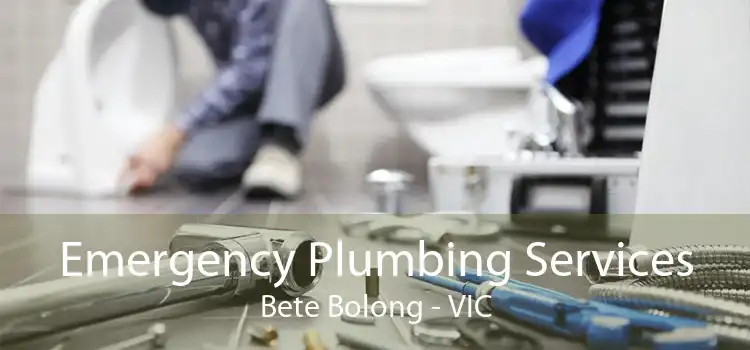 Emergency Plumbing Services Bete Bolong - VIC
