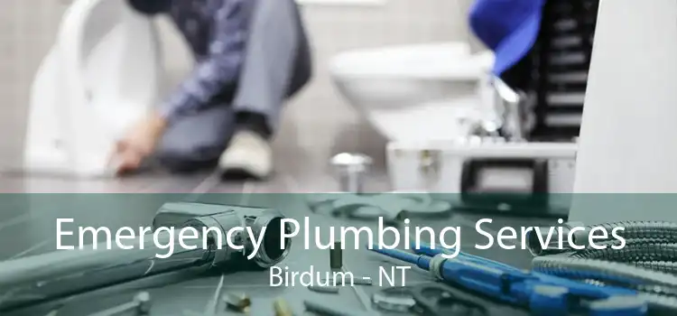 Emergency Plumbing Services Birdum - NT