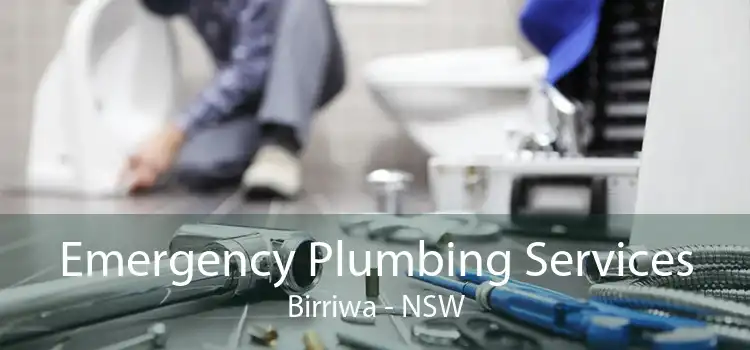 Emergency Plumbing Services Birriwa - NSW