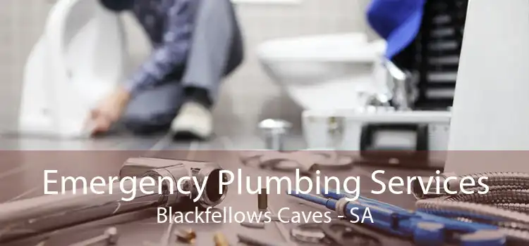 Emergency Plumbing Services Blackfellows Caves - SA