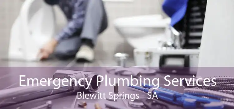 Emergency Plumbing Services Blewitt Springs - SA