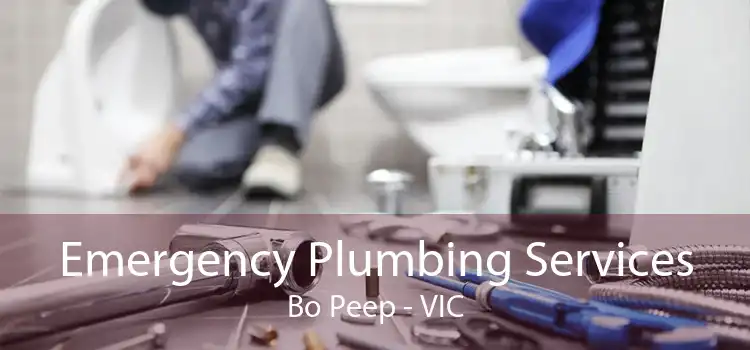 Emergency Plumbing Services Bo Peep - VIC