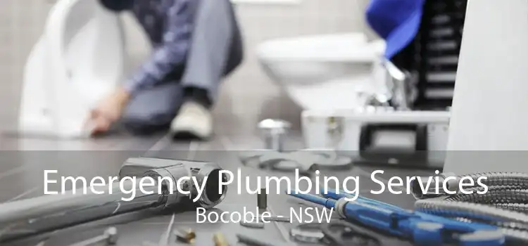 Emergency Plumbing Services Bocoble - NSW