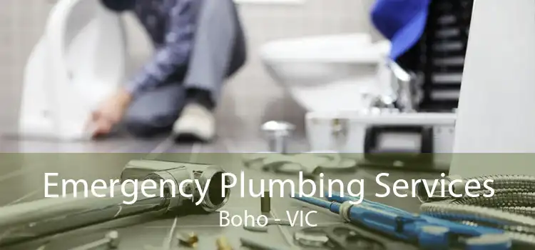 Emergency Plumbing Services Boho - VIC