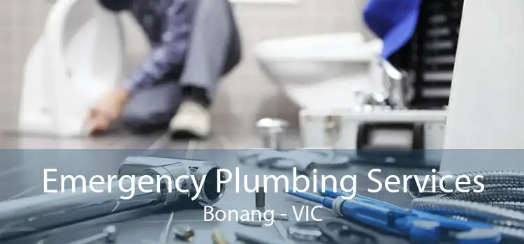 Emergency Plumbing Services Bonang - VIC