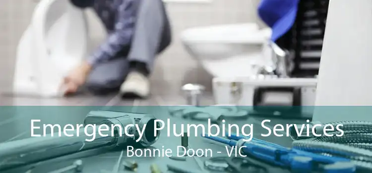 Emergency Plumbing Services Bonnie Doon - VIC