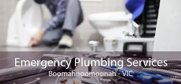 Emergency Plumbing Services Boomahnoomoonah - VIC