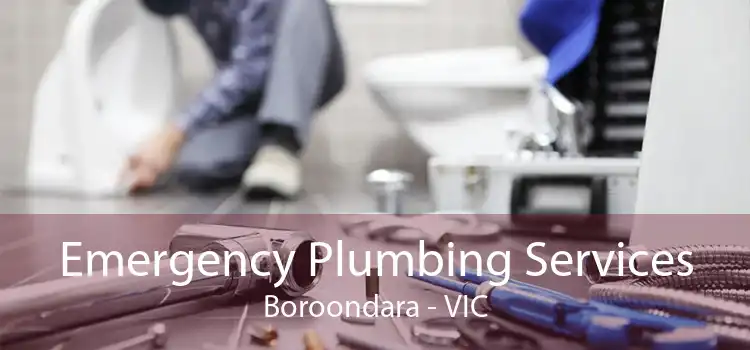 Emergency Plumbing Services Boroondara - VIC