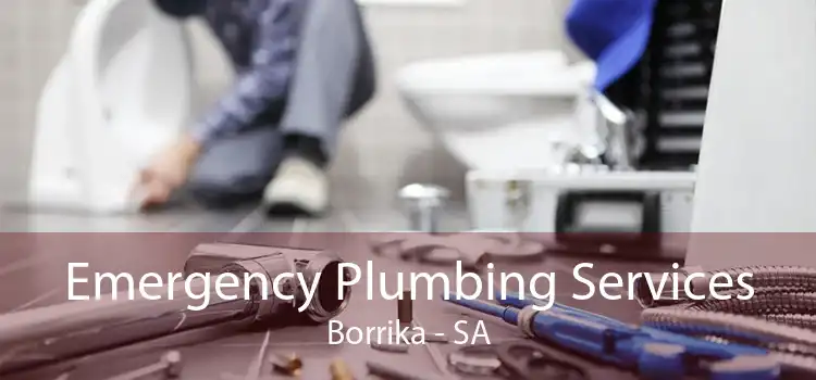 Emergency Plumbing Services Borrika - SA