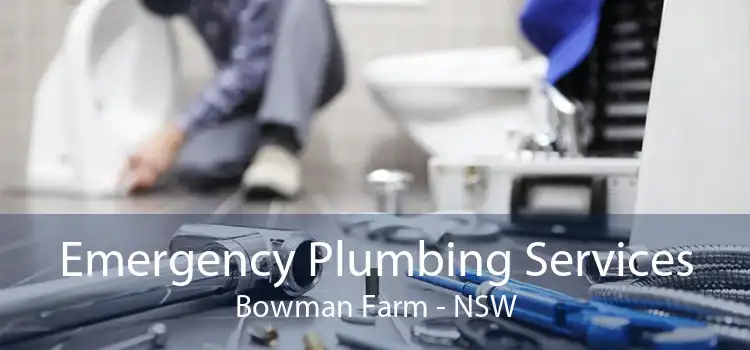 Emergency Plumbing Services Bowman Farm - NSW