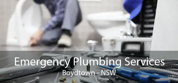 Emergency Plumbing Services Boydtown - NSW