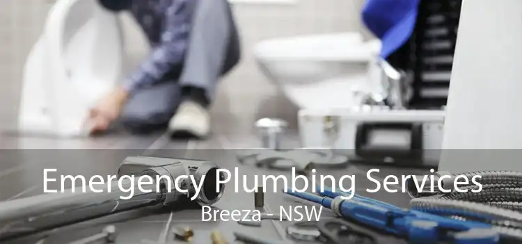 Emergency Plumbing Services Breeza - NSW