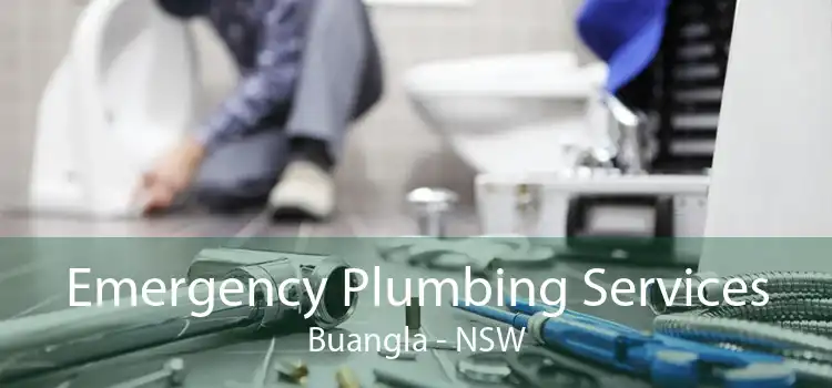 Emergency Plumbing Services Buangla - NSW