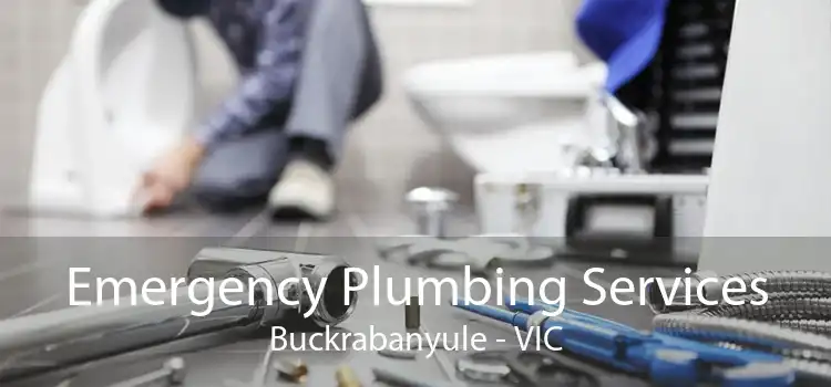 Emergency Plumbing Services Buckrabanyule - VIC