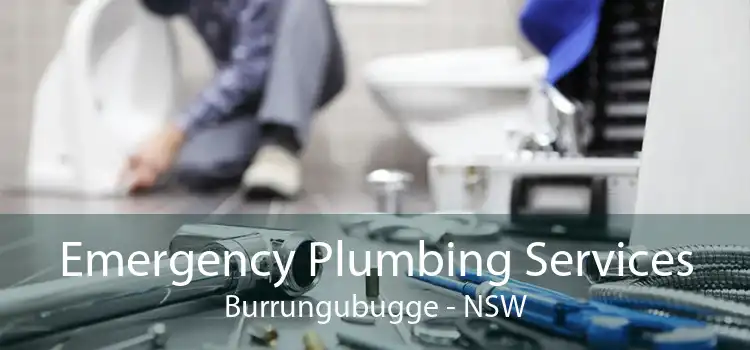 Emergency Plumbing Services Burrungubugge - NSW