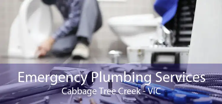Emergency Plumbing Services Cabbage Tree Creek - VIC