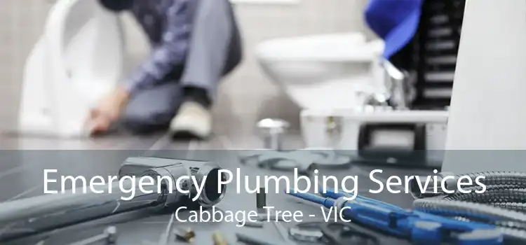 Emergency Plumbing Services Cabbage Tree - VIC