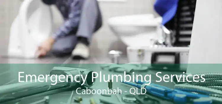 Emergency Plumbing Services Caboonbah - QLD