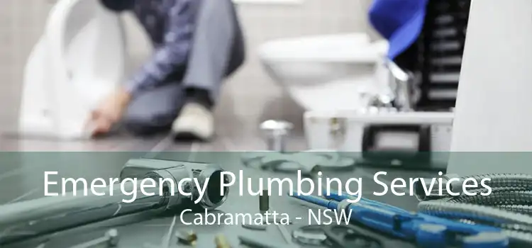 Emergency Plumbing Services Cabramatta - NSW