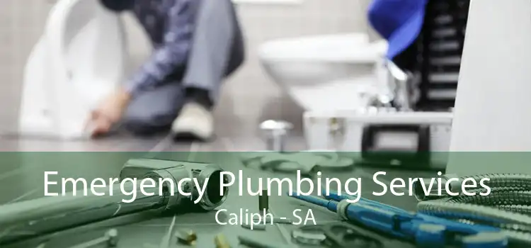 Emergency Plumbing Services Caliph - SA