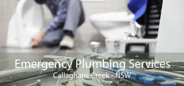 Emergency Plumbing Services Callaghans Creek - NSW