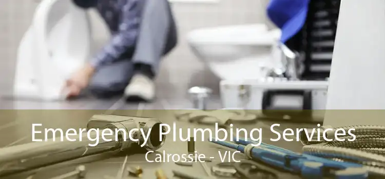 Emergency Plumbing Services Calrossie - VIC