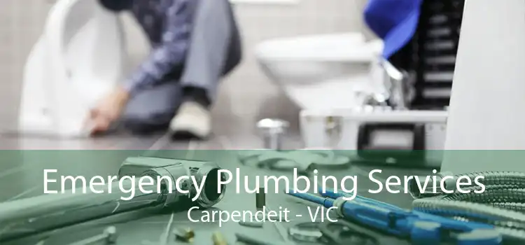 Emergency Plumbing Services Carpendeit - VIC