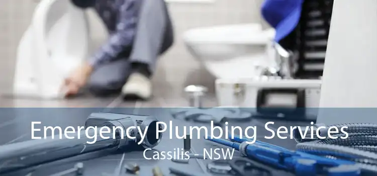 Emergency Plumbing Services Cassilis - NSW
