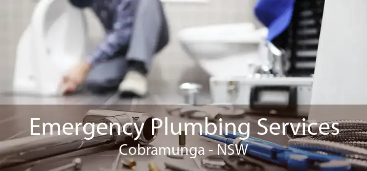 Emergency Plumbing Services Cobramunga - NSW