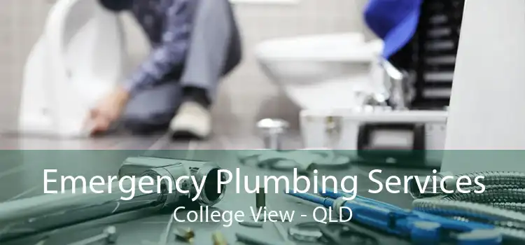 Emergency Plumbing Services College View - QLD