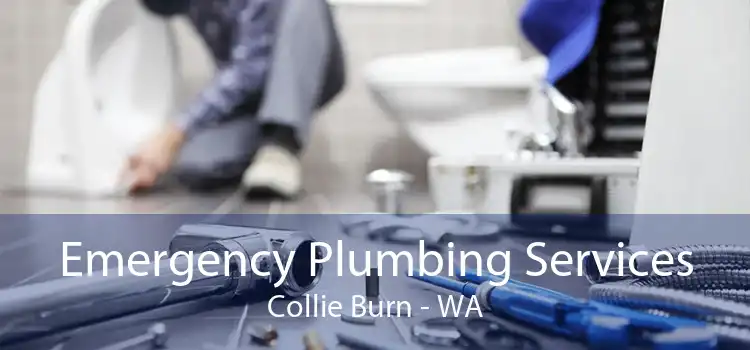 Emergency Plumbing Services Collie Burn - WA