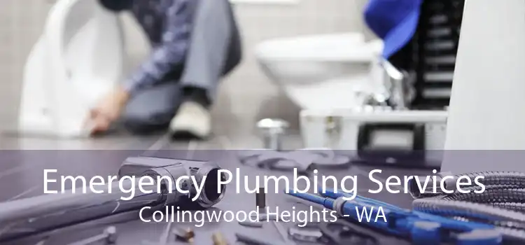 Emergency Plumbing Services Collingwood Heights - WA