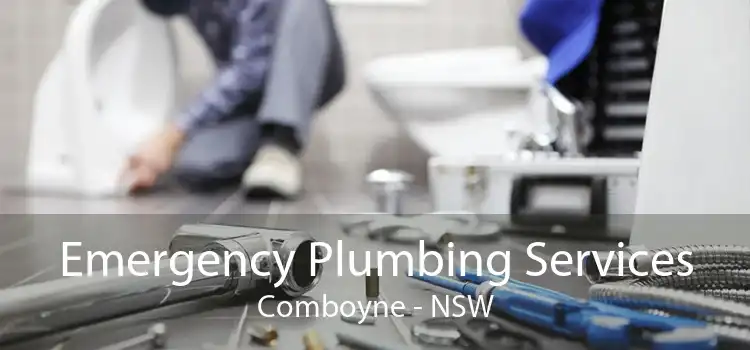 Emergency Plumbing Services Comboyne - NSW