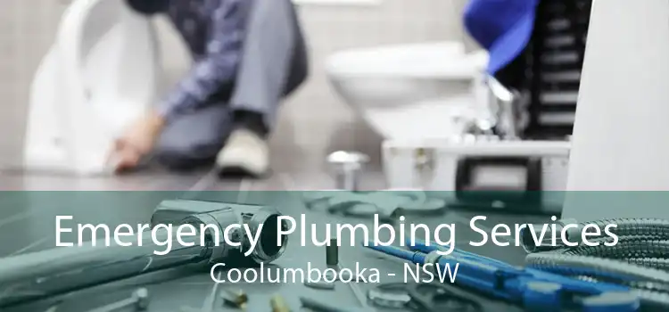 Emergency Plumbing Services Coolumbooka - NSW