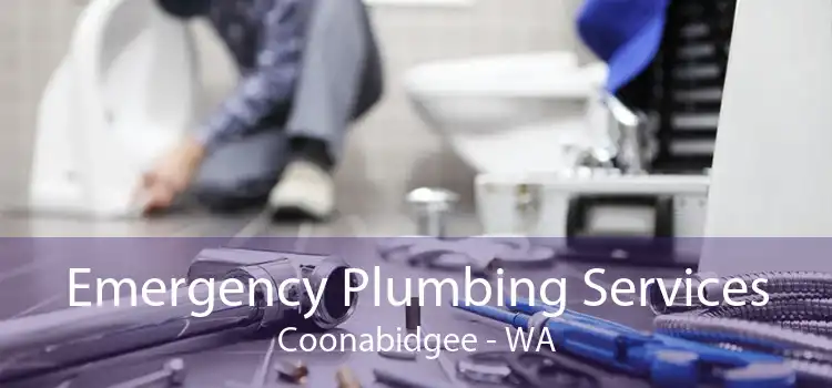 Emergency Plumbing Services Coonabidgee - WA