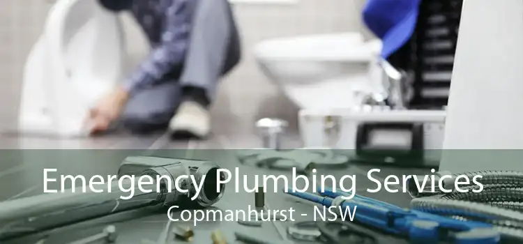 Emergency Plumbing Services Copmanhurst - NSW