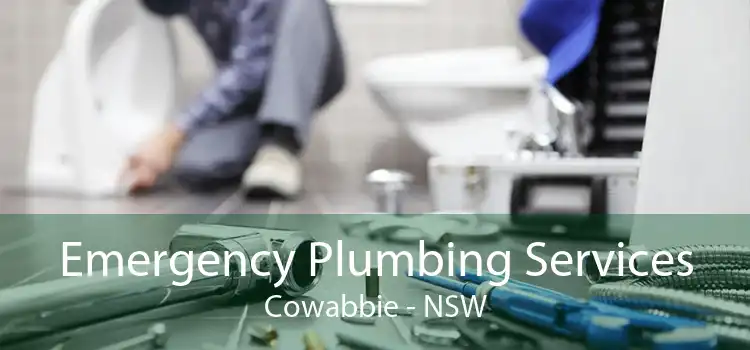 Emergency Plumbing Services Cowabbie - NSW