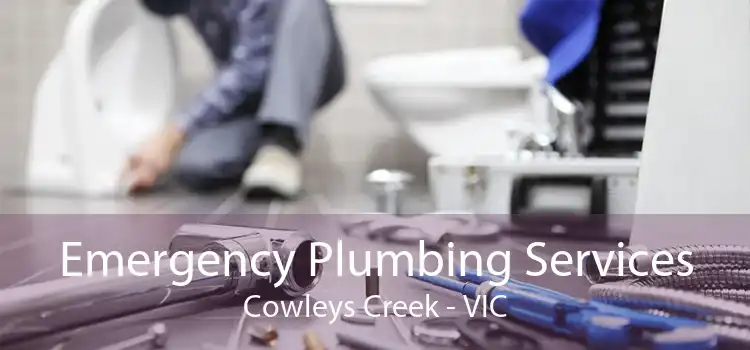 Emergency Plumbing Services Cowleys Creek - VIC